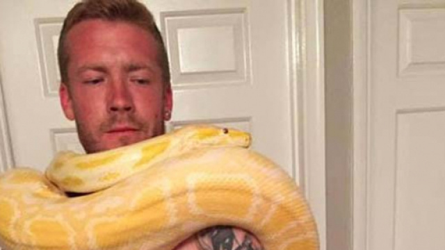 Dan con il suo pitone di nome Tiny