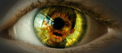 'House of Horror' Turpin children separed. - [Image via Pixabay CC0 Creative Commons]