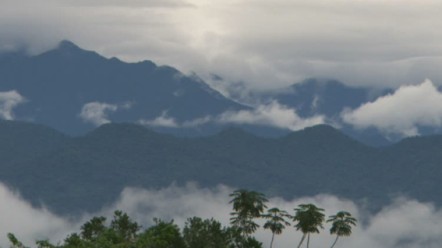 Foresta pluviale del Per&ugrave;, dove &egrave; stata ritrovata la mummia