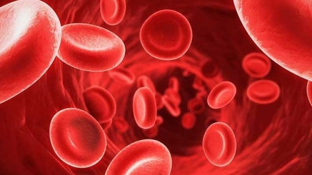 Nano navette nel sangue per sconfiggere il tumore