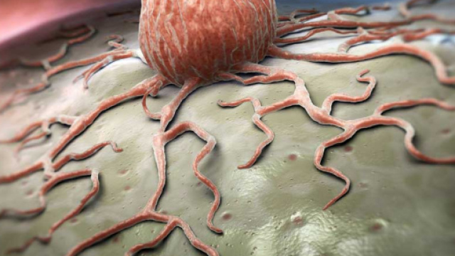 Nanoparticelle per combattere le cellule malate