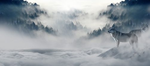 Triadic solutions, saving Robert Mueller from the jaws of Trump (Part Two) - [Image via Comfreak/Pixabay]