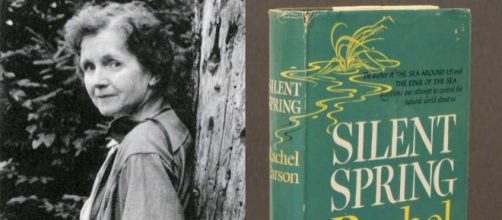 Antecedentes del Medio Ambiente - tiki-toki.com