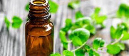 Propiedades de la menta que no sab&iacute;as