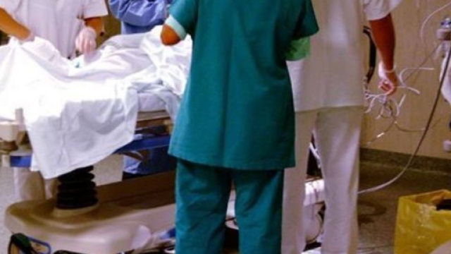 Influenza suina, terzo decesso in Sardegna morta una 35enne ... - fanpage.it