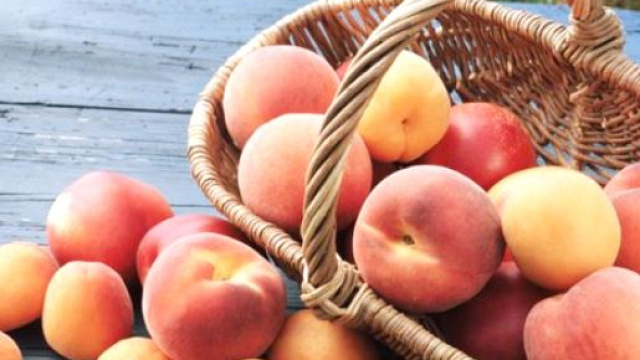 La peluria della pesca contiene una proteina (LTP) ad azione allergizzante.