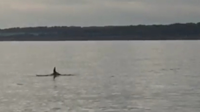 Un'immagine dei video girati nel Salento.