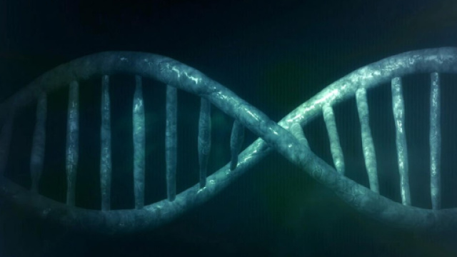 Scoperta molecola in grado di agire sul Dna malato.