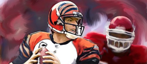 Carson Palmer hangs it up after 15 seasons in the NFL - Jack Kurzenknabe via Flirckr