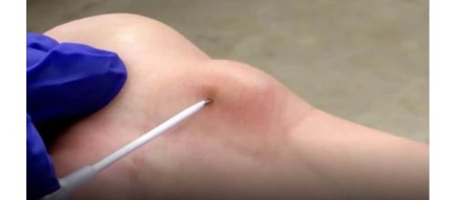 O v&iacute;deo deixou os internautas chocados