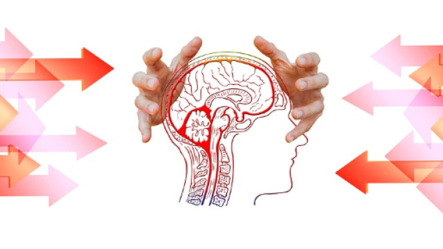 Allenare il cervello regista del benessere