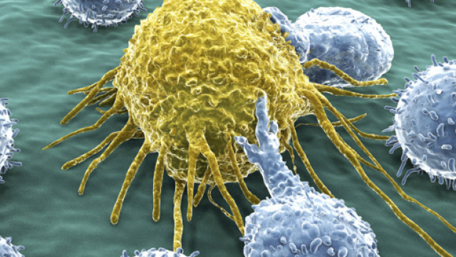 Tumori: scoperto il meccanismo che li fa proliferare