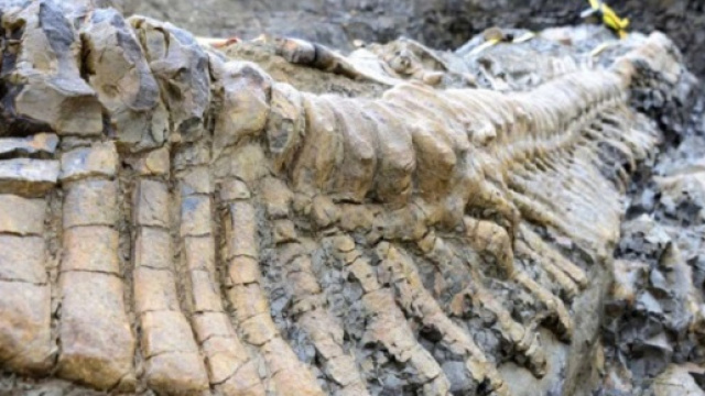 Resti di un dinosauro enorme vissuto 100 milioni di anni fa
