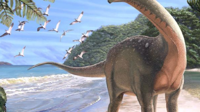 Scoperto una nuova specie di dinosauro in Egitto