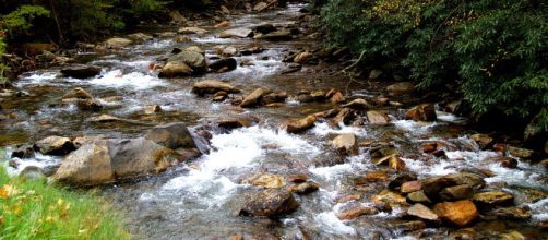 Coast Vacations To Consider For This Fall Season- Great Smoke Mountain [Image by Pixabay.com]