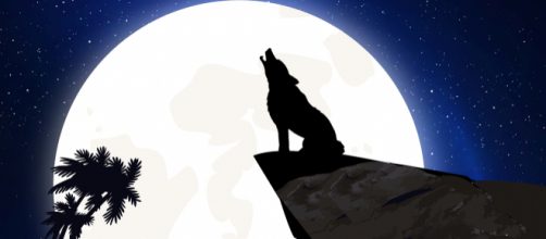 Trump has crossed a line. (Image Sim33 Pixabay)