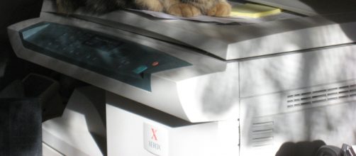 Xerox copier - flickr/mighty free