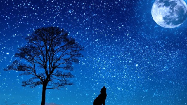 Lo spettacolo della luna blu mercoled&igrave; 31 gennaio 2018