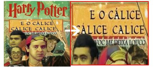 Algumas imagens s&atilde;o simplesmente hil&aacute;rias. (Foto Reprodu&ccedil;&atilde;o).