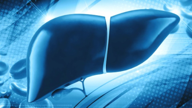 I probiotici contrastano la steatosi epatica non alcolica.