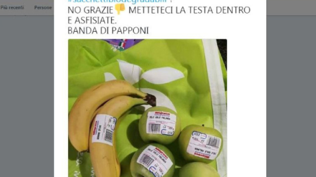 Sacchetti biodegradabili: ecco come funziona la nuova legge