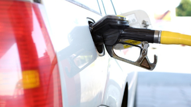 Salento, gasolio non raffinato provoca danni