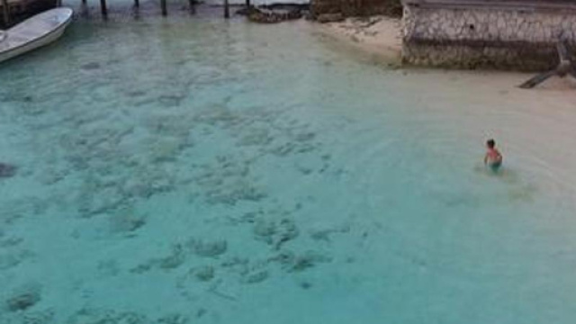 Squali attorno al bambino: scene riprese dal drone