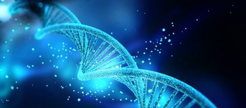 DNA evidence led scientists to discover where the first Americans came from. Image credit: Nogas1974/Wikipedia Commons.