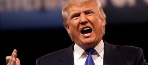 Donald Trump [Img via Flickr | Gage Skidmore]