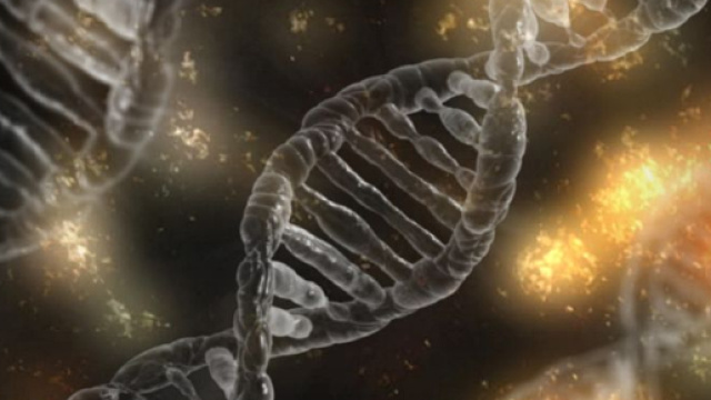 Dna: intervenire &egrave; una scelta accettabile?