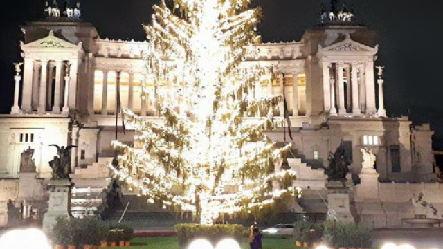 L'albero natalizio chiamato Spelacchio rimarr&agrave; acceso sino all'11 gennaio - lifegate.it