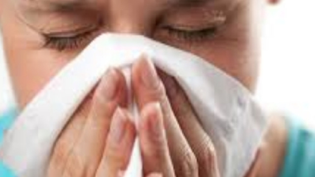 L'influenza sta arrivando in Italia - informazione.it