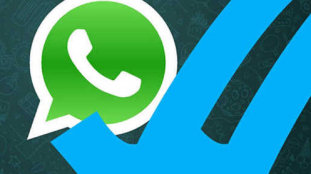 WhatsApp, privacy ko: ecco come sapere l'orario di lettura - ilgazzettino.it
