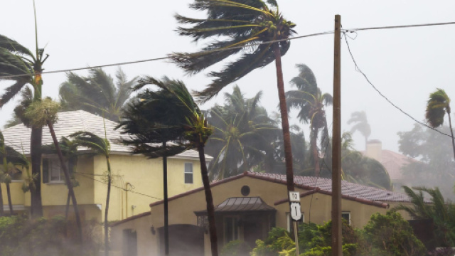 &Eacute;tats-Unis : ce qu'il faut savoir sur l'ouragan Michael