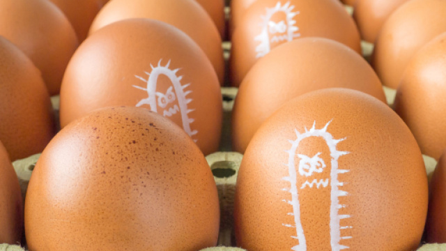 Uova fresche contaminate e ritirate dal mercato perch&egrave; dannose