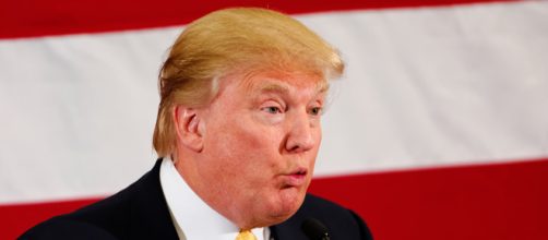 Donald Trump - Image by Flickr.com