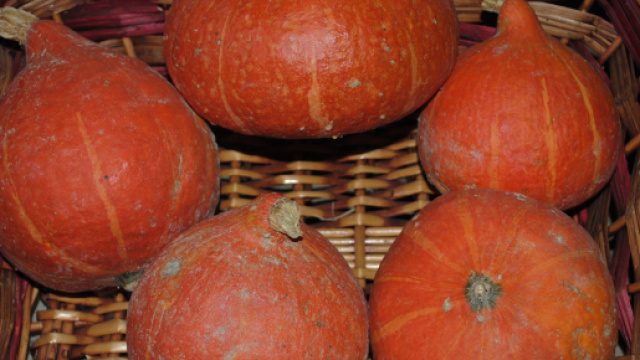 La zucca e le sue principali propriet&agrave;