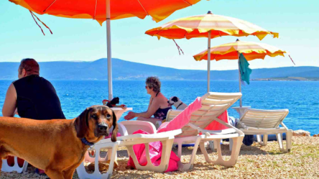 CRIKVENICA (CROAZIA), UNA SPIAGGIA DA CANI - Gist.it - gist.it