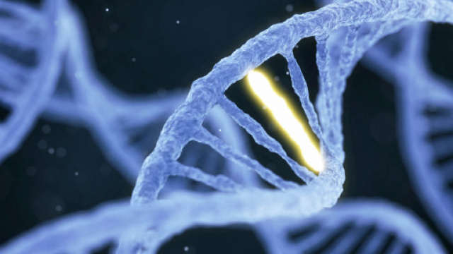 Usa: uomo allontanato da un negozio per il suo aspetto