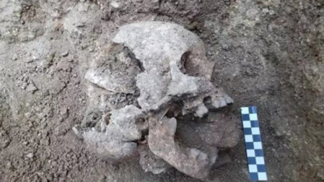 Lugano, archeologi scoprono un bambino vampiro in un vecchio cimitero