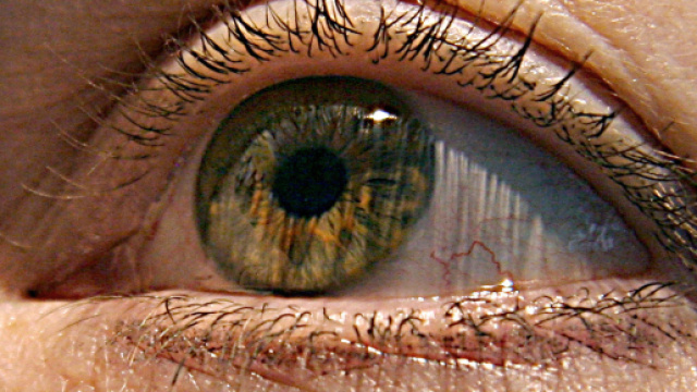 Stati Uniti: ricreata in laboratorio retina umana - fanpage.it