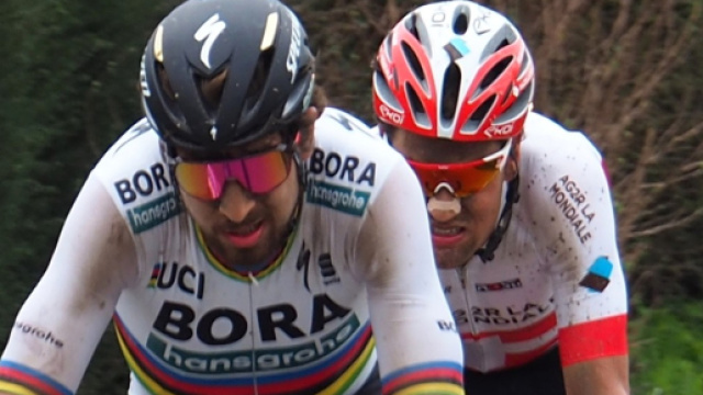 Peter Sagan sar&agrave; ancora il leader della Bora Hansgrohe nel 2019.