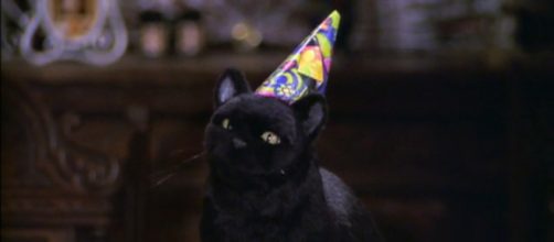 Salem welcomes Sabrina image via sabrinatheteenagewitch.wikia.com