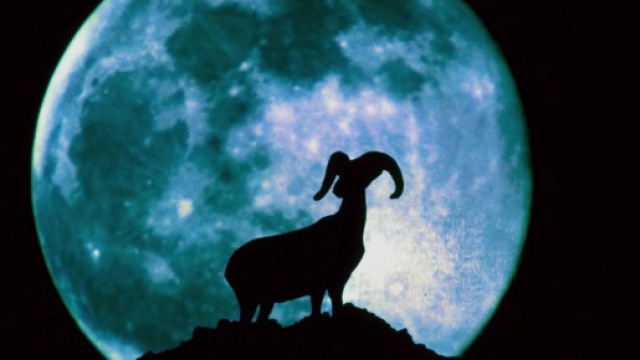 Oroscopo di domani 22 ottobre 2018 | La Luna transita in Ariete: previsioni e astrologia per il luned&igrave; d'inizio settimana