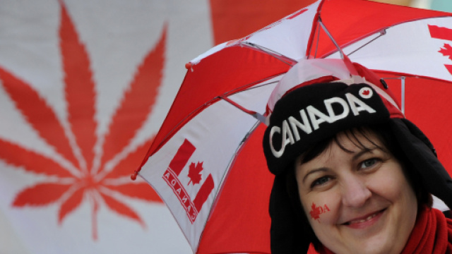 Al via la legalizzazione della cannabis in Canada: oggi &egrave; il ... - dolcevitaonline.it