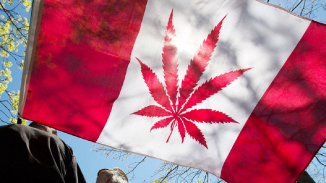 Canada, entrata in vigore la legge sulla legalizzazione della cannabis