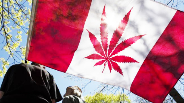 Il Canada ha legalizzato la marijuana per scopi ricreativi