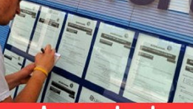 Assunzioni ANTAL, IBM, ELSE: invio CV a ottobre-novembre 2018