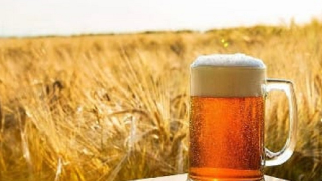 Birra rara e costosa in un futuro pi&ugrave; caldo