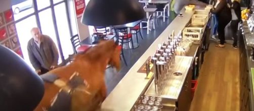 Chantilly France - gorse runs into sport betting bar, causes chaos. - Image credit - jasmin stephane | YouTube